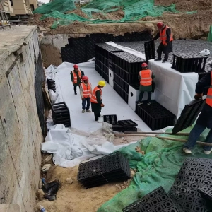 Rainwater collection and treatment system