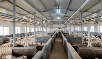 養(yǎng)豬場(chǎng)廢水處理技術(shù)及工藝研究